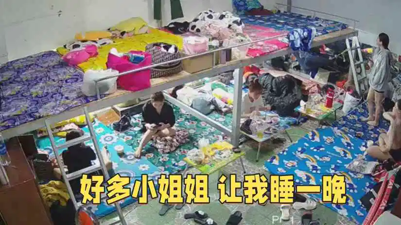 黄金网站app免费-韩国伦理免费在线观看